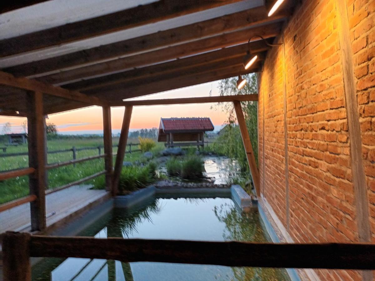 Dom Habass Villa Zdory Exterior photo